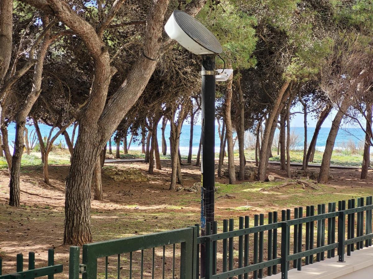 Fronte Pineta Mare Rivabella Apartment Exterior photo