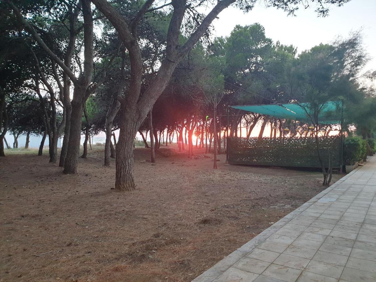 Fronte Pineta Mare Rivabella Apartment Exterior photo